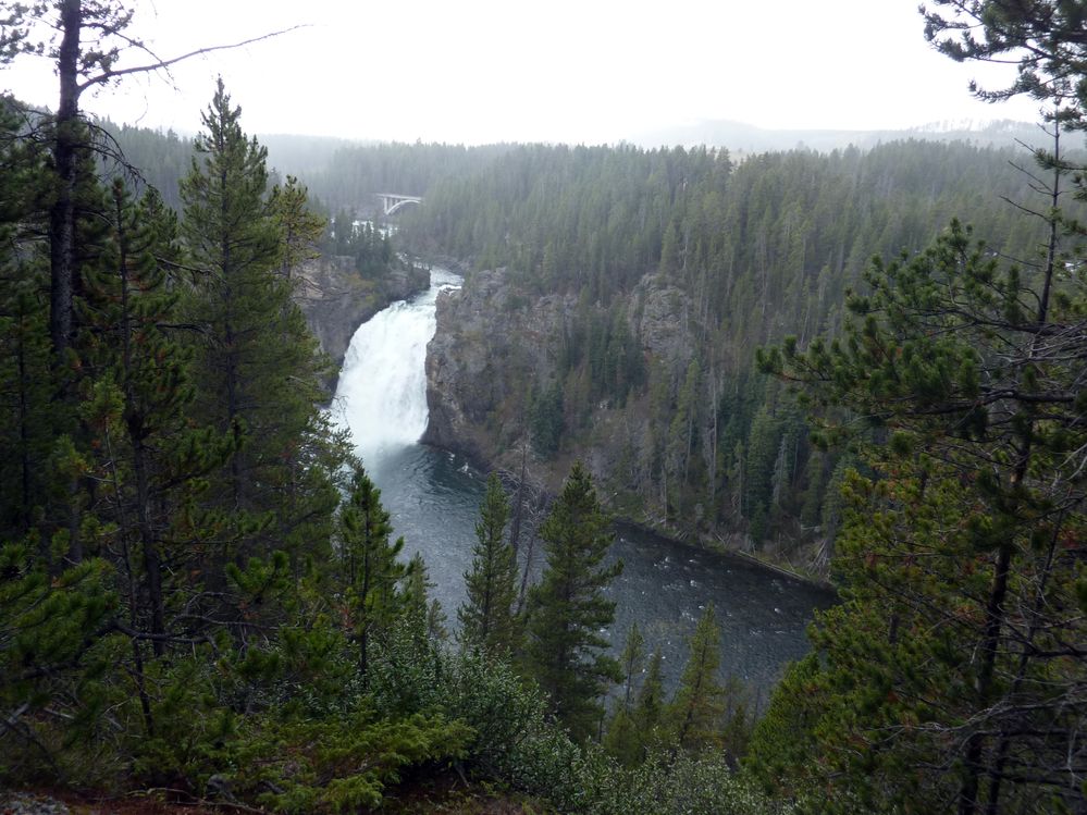 Canyon village Upper fall (5).JPG